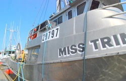 Miss Trimar.JPG